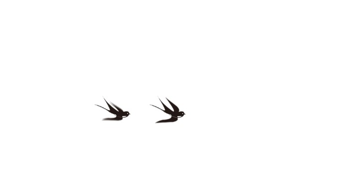 两只燕子飞翔带通道视频素材