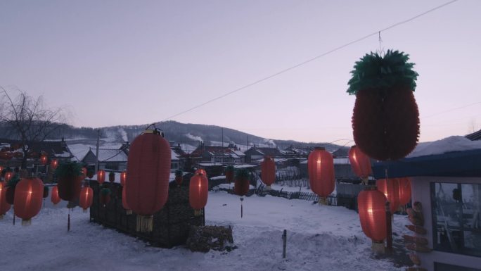 雪后寂静的村庄