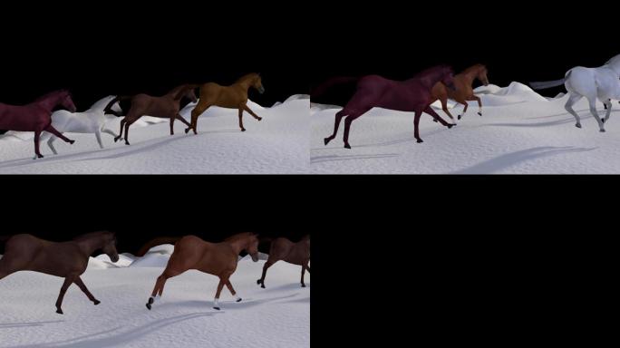 冬天雪景奔跑的马群TGA