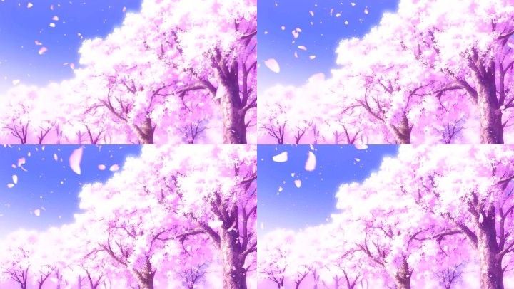 樱花花海 1920x1080 高清视频素材下载 编号 2389662 舞台背景 Vj师网www Vjshi Com