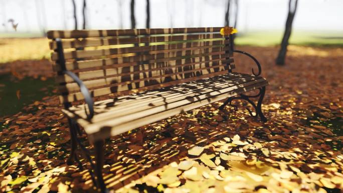 秋天公园长凳落叶