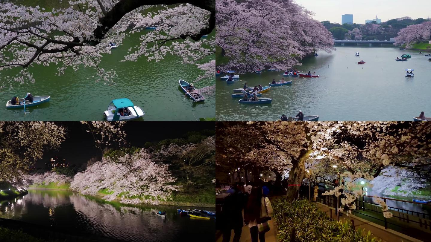 高清春季浪漫日本樱花公园风景