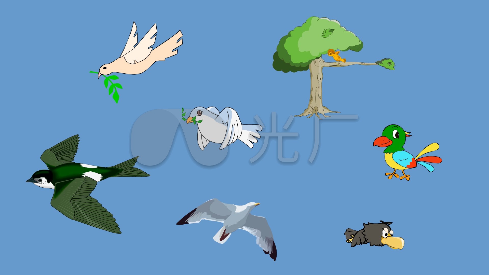 鸟飞禽二维动物素材flash动画