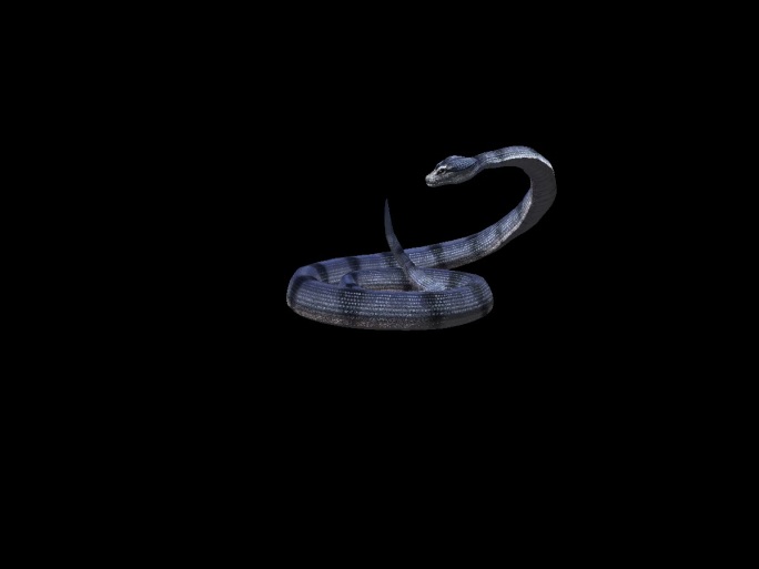 生物-蛇3恐吓2（带通道）