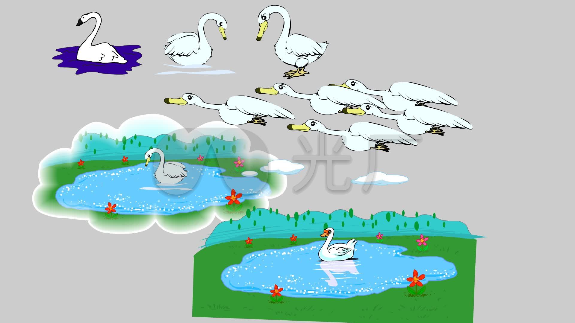 天鹅二维动物素材flash动画动画