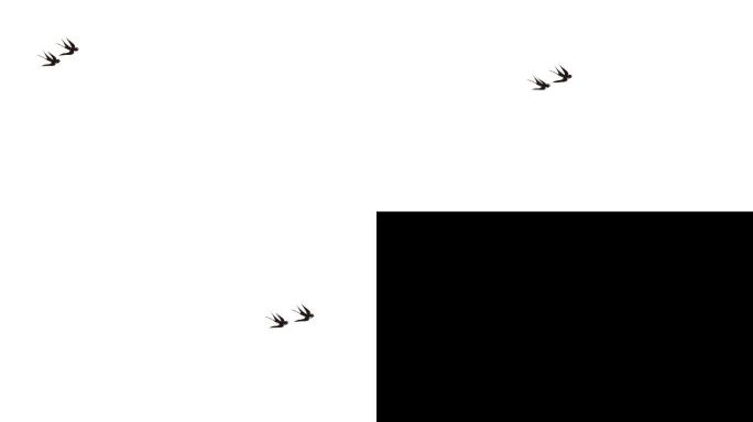 两只燕子飞翔带通道