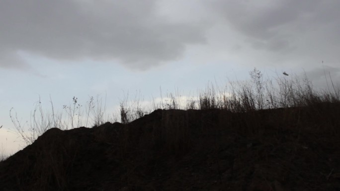 【原创】荒郊野外、大雨将至