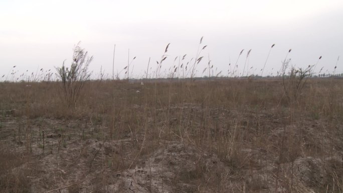 【原创】农田荒废、耕地破坏、开荒