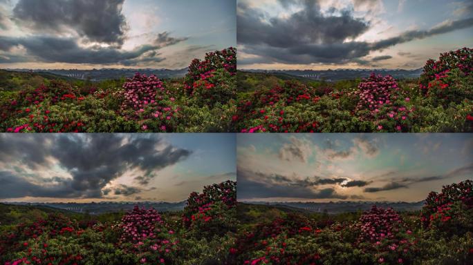 贵州毕节百里杜鹃景区延时摄影4K