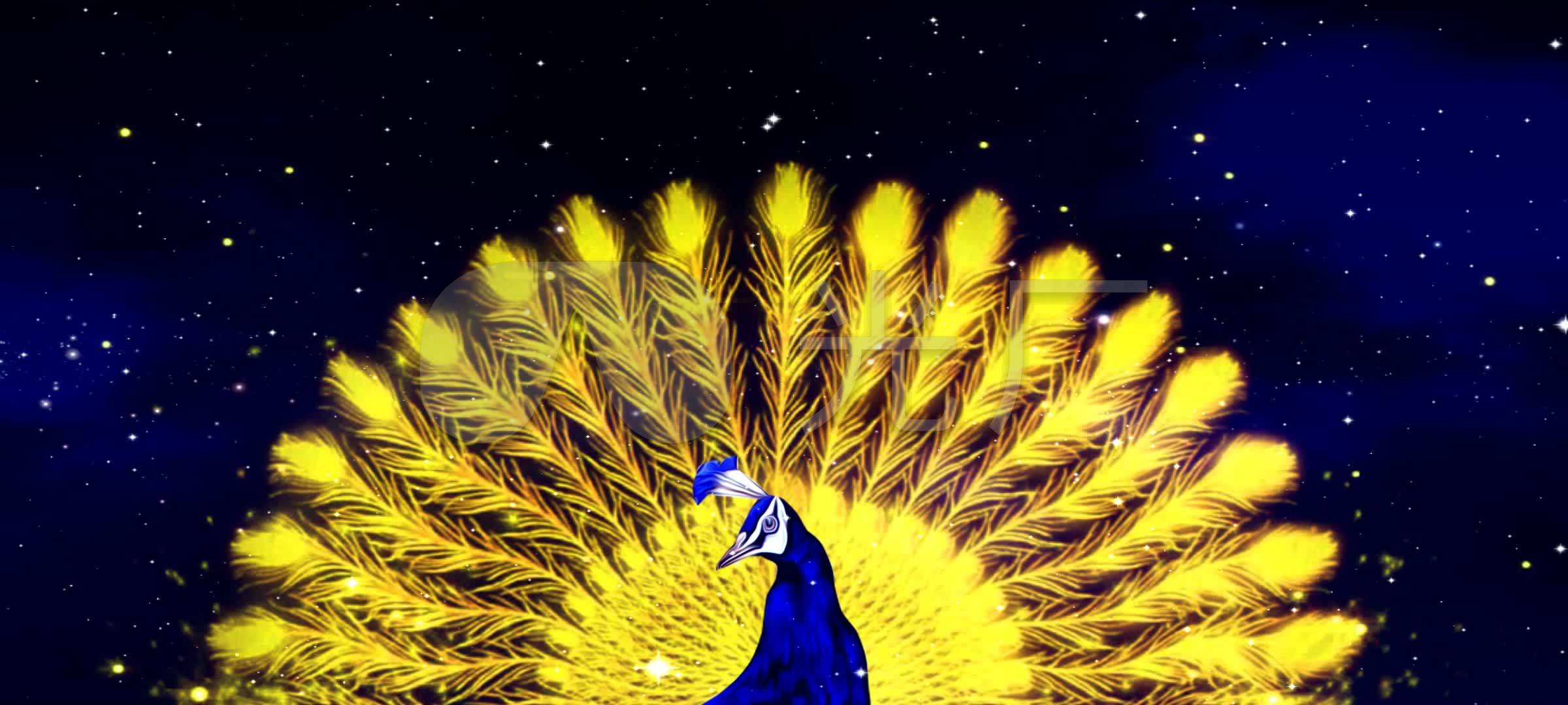 傣族孔雀舞傣族孔雀舞服装