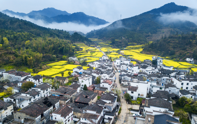 古镇徽式建筑里寻春天