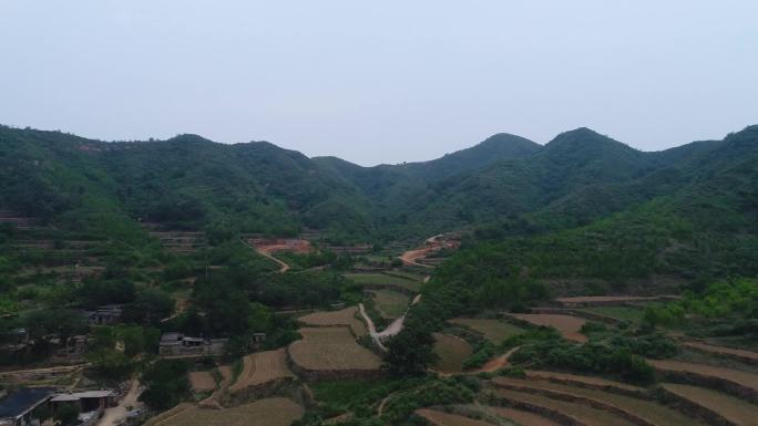 山村旧房屋农田大槐树梯田