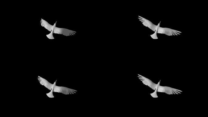 海鸥飞翔原地扇翅膀