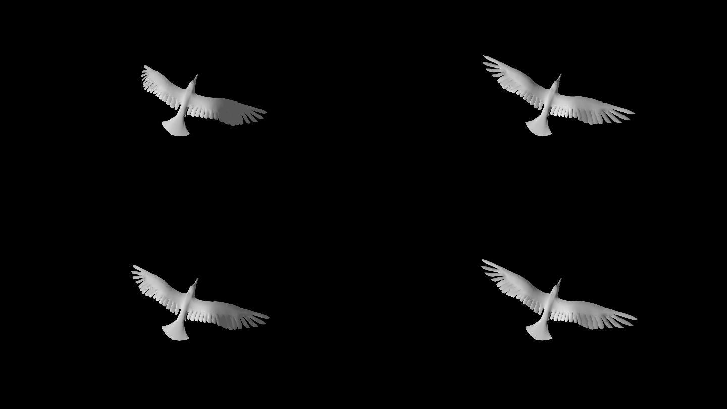 海鸥飞翔原地扇翅膀