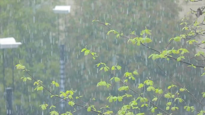 冰雹大雨高帧率慢镜头