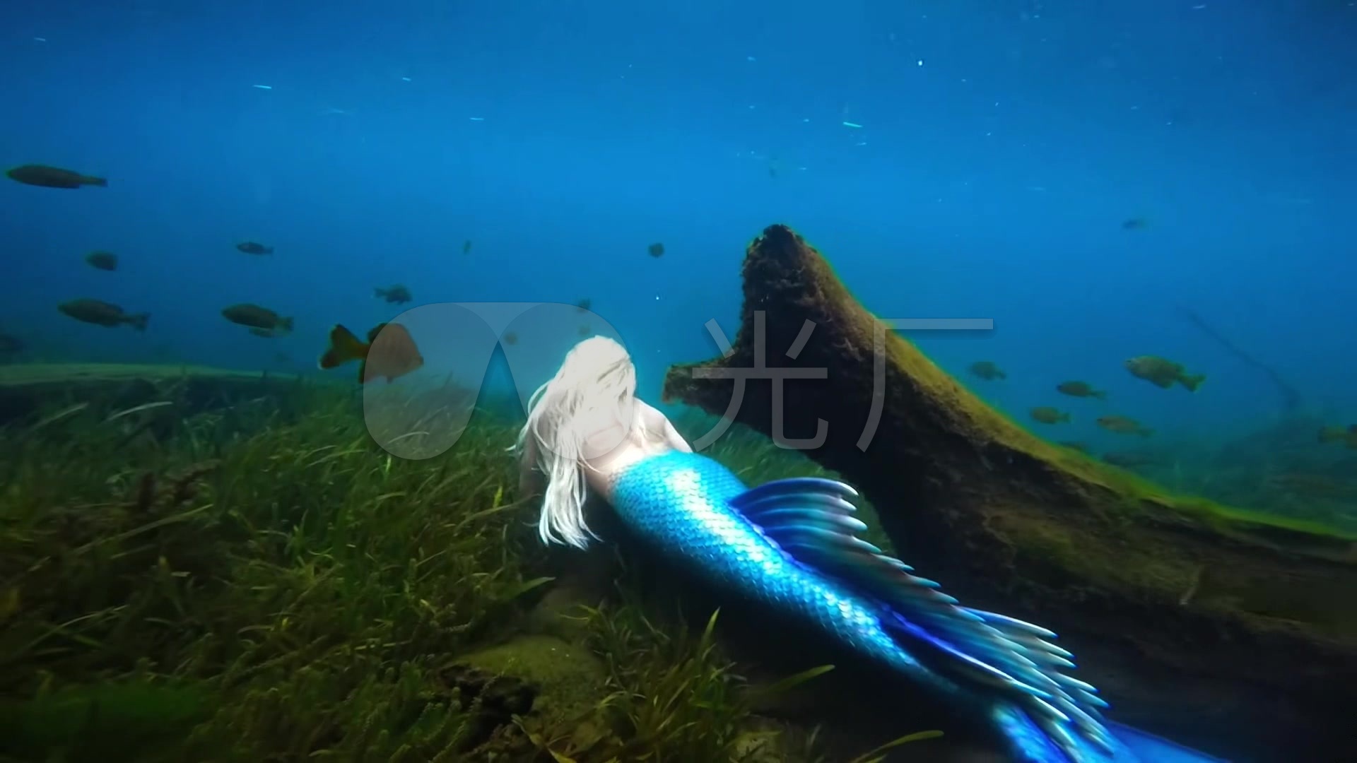 超美海底美人鱼摄影