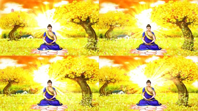 黄金树佛教视频