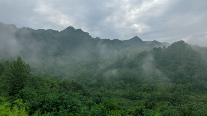 4K延时山中清晨云雾飘渺