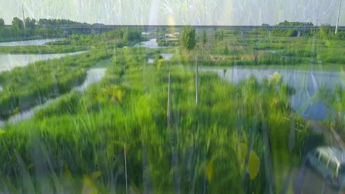 潍坊白浪河湿地公园国家北辰绿洲