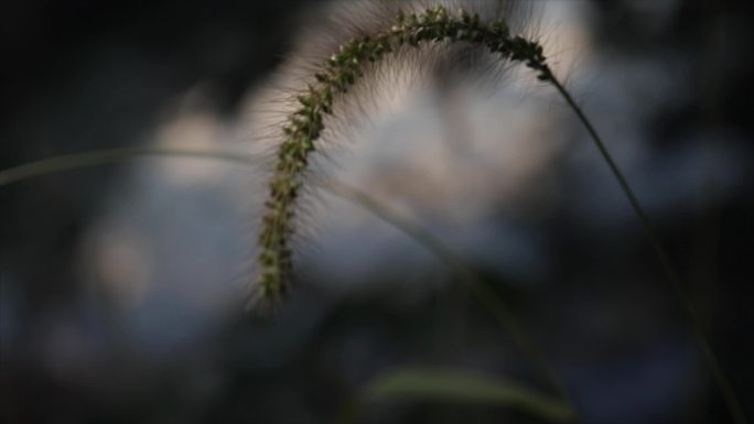 老公安制服情景模拟升格