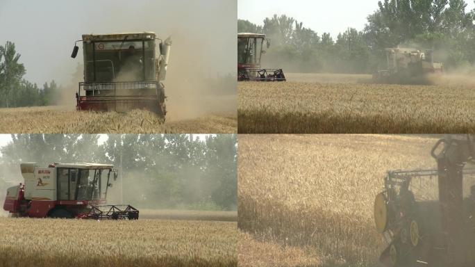 小麦麦收收割机