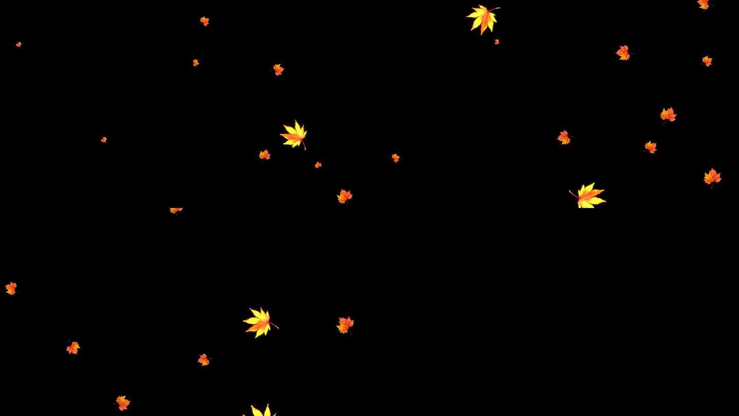枫树叶飘落带通道视频素材