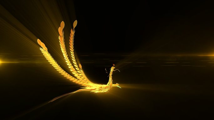 金色凤凰飞入画面翅膀煽动