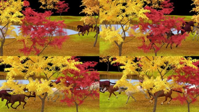 秋天景色的马TGA序列