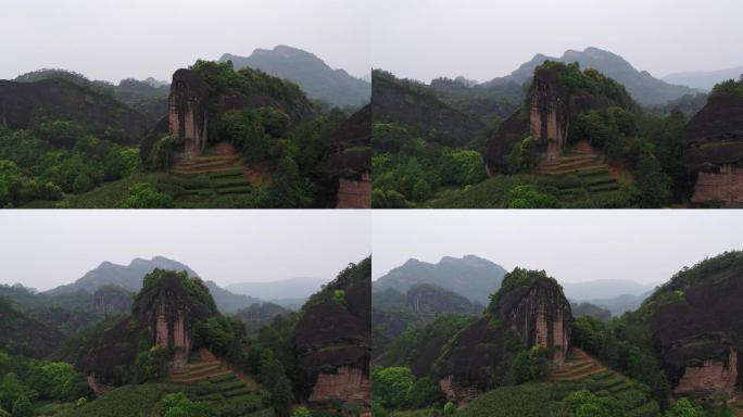 武夷山马头岩岩茶