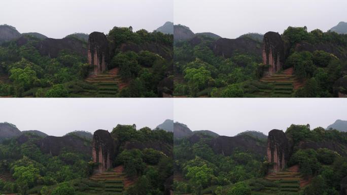 武夷山马头岩岩茶