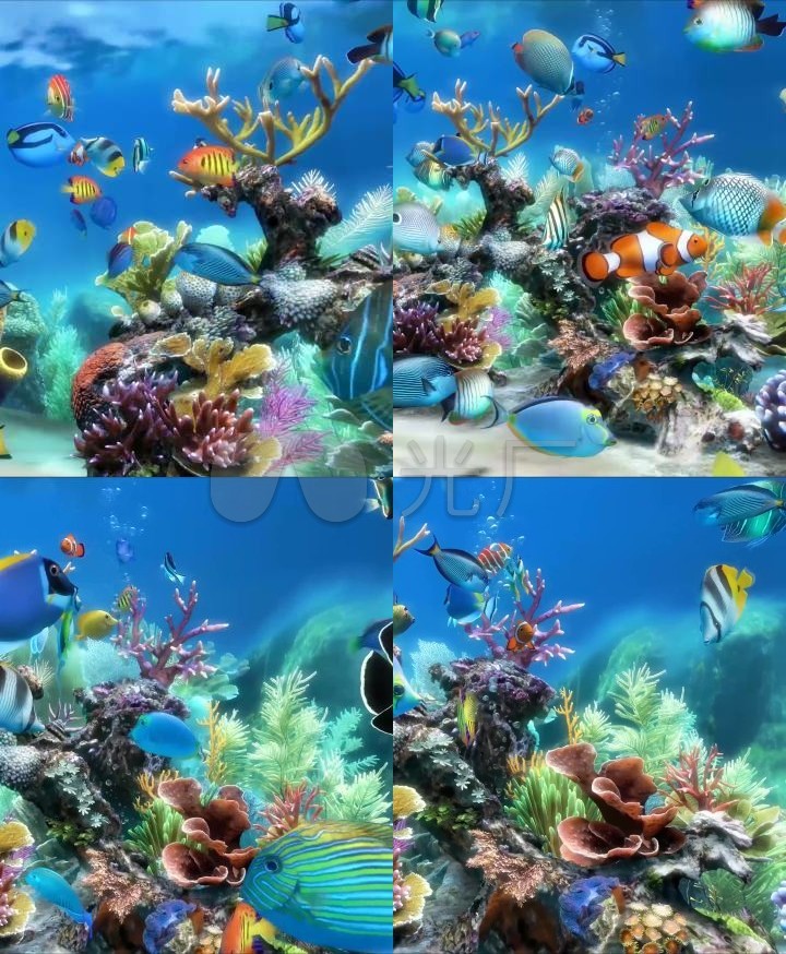 豎屏3d唯美夢幻海底世界水族館熱帶魚