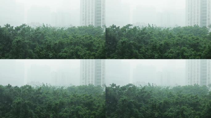 广州春季豪雨20180501-3