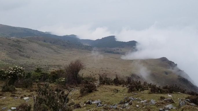 高山美景