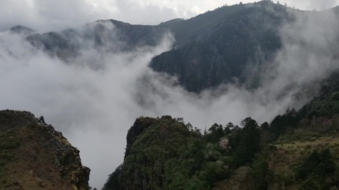 高山美景