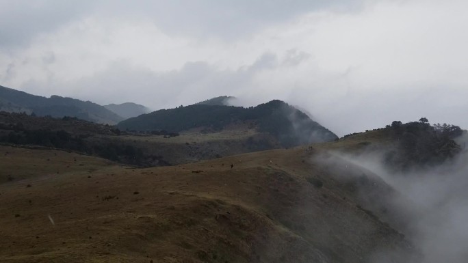 高山美景