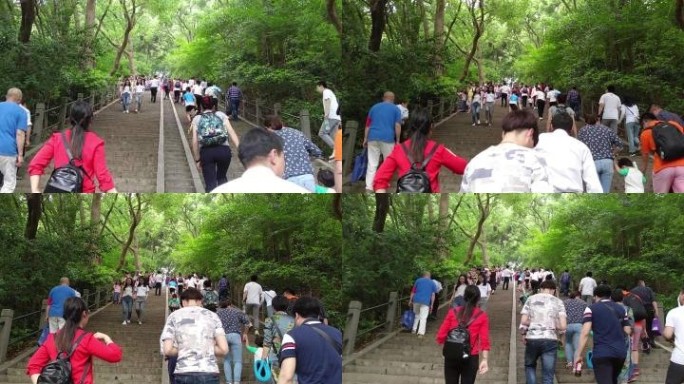 登高登山旅游爬山