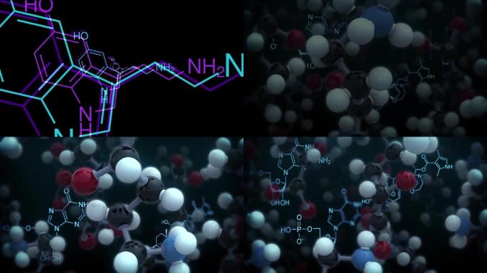 分子结构