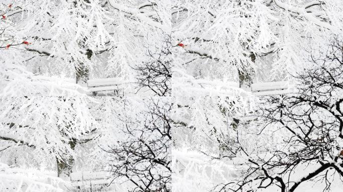 唯美冬天下雪公园凳子雪景视频素材