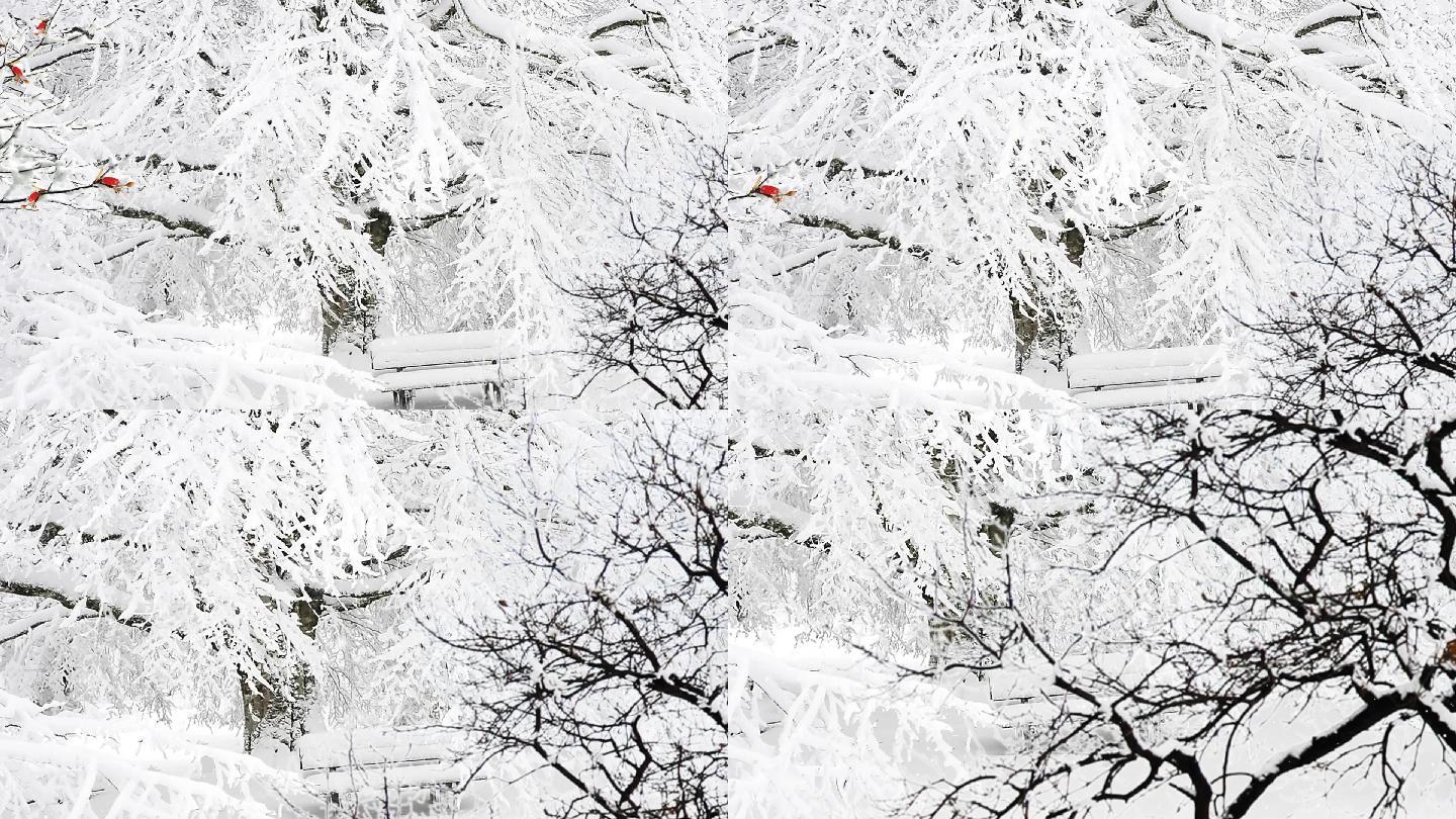 唯美冬天下雪公园凳子雪景视频素材