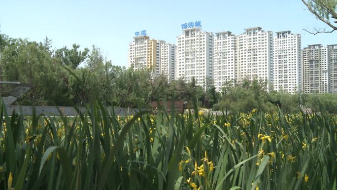 济南西部新城河边风景