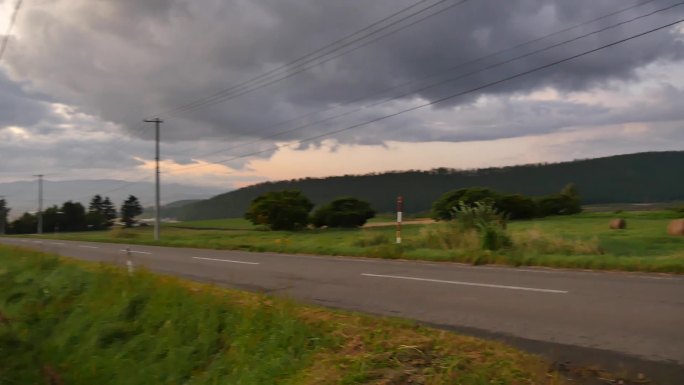 日本北海道富良野稻田金色傍晚