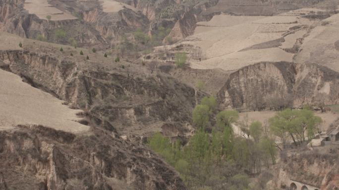 4K黄土高原陕北窑洞黄牛耕地种地视频素材