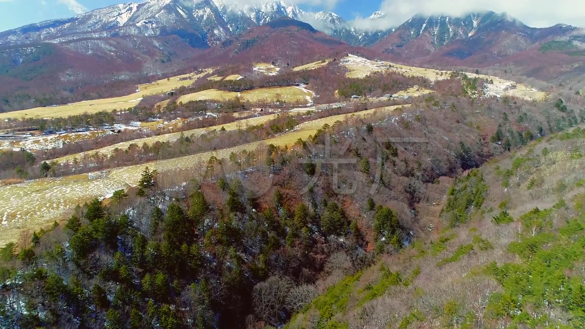 日本八岳山麓清里高原清泉寮航拍树林山地_1