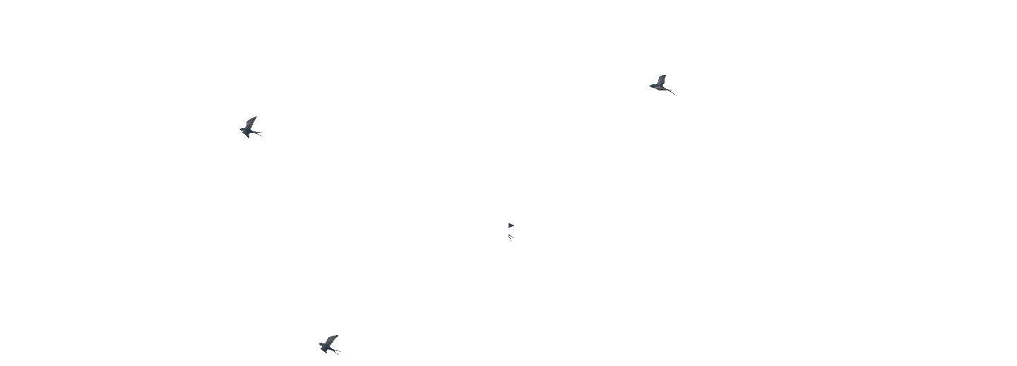 燕子飞翔（01）-alpha循环