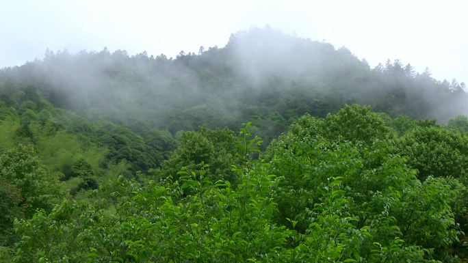 美丽大别山素材