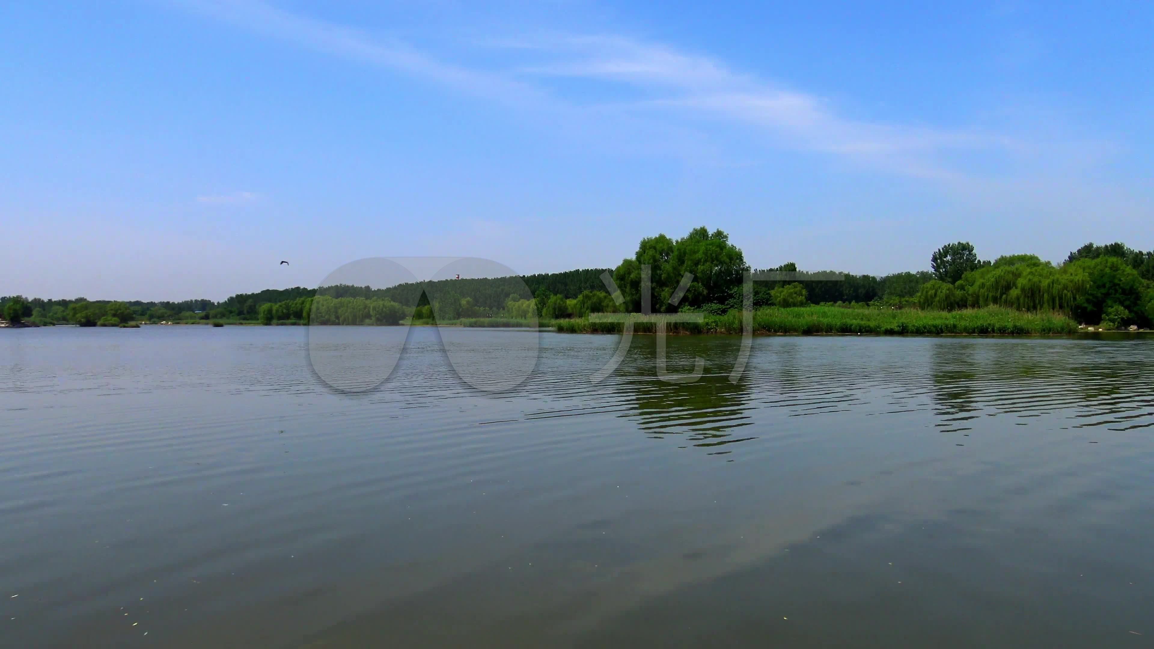 4K弥河国家湿地公园_3840X2160_高清视频素材下载(编号:2650575)_实拍视频_VJ师网 www.vjshi.com