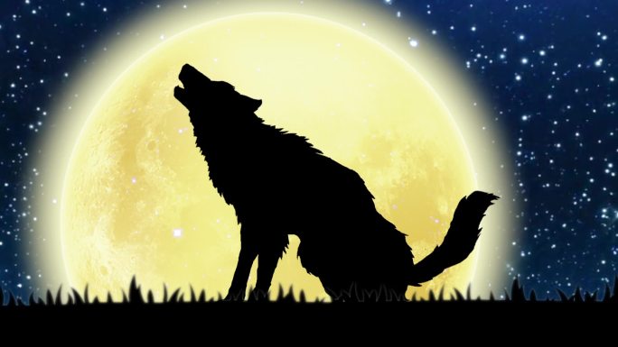 月圆之夜狼群奔跑咆哮动画