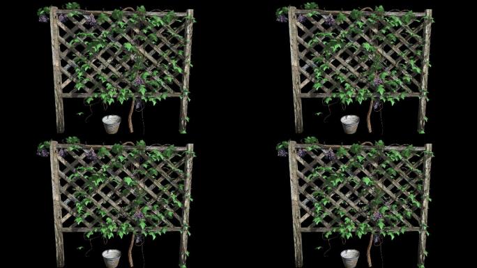 植物摇曳动画--木栅栏带通道