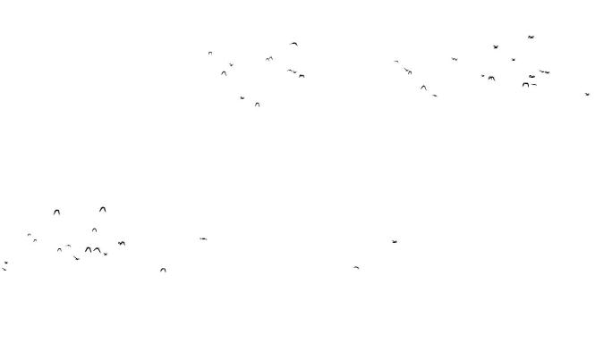 AE飞鸟飞过工程