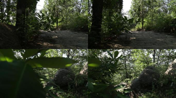 【原创】山间小路